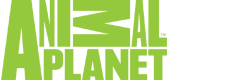 Animal Planet Logo